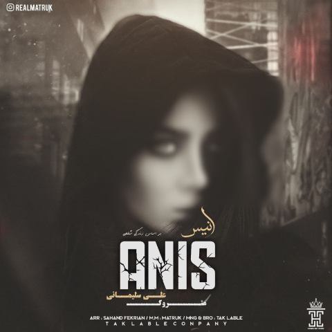 دانلود آهنگ متروک و علی سلیمانی به نام انیس